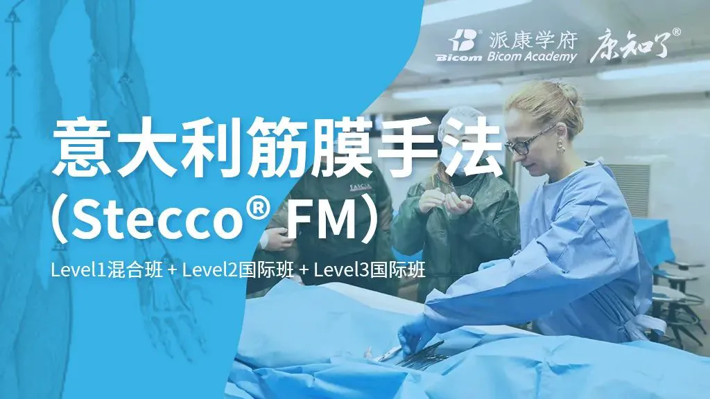 绳梯训练篮球_2